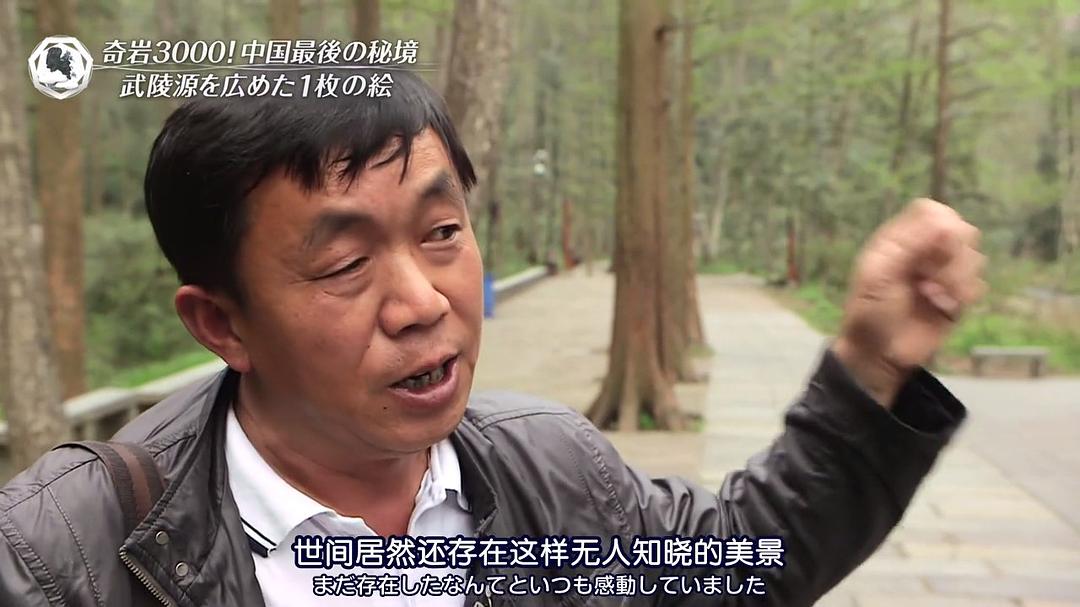 THE 世界遗产 THE 世界遺産