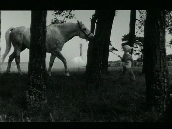 场面调度：安德烈·塔可夫斯基 Regi Andrej Tarkovskij