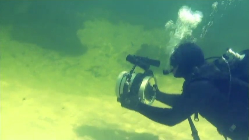 鳄鱼盛宴 Dragon's Feast