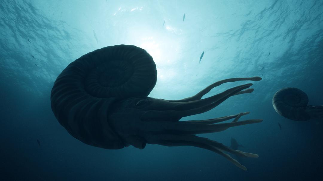 爱登堡爵士和海龙 Attenborough and the Sea Dragon