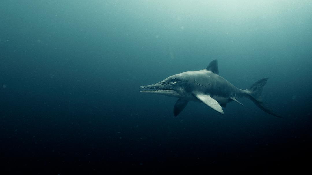爱登堡爵士和海龙 Attenborough and the Sea Dragon