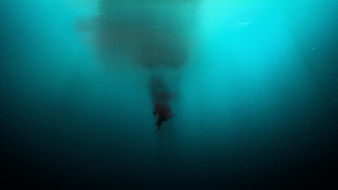 爱登堡爵士和海龙 Attenborough and the Sea Dragon