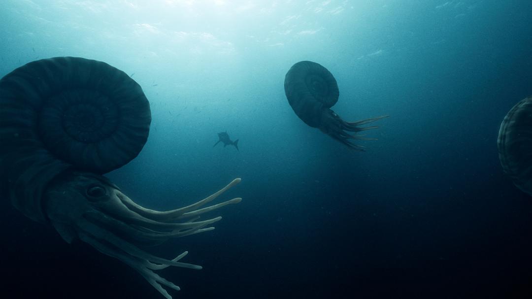 爱登堡爵士和海龙 Attenborough and the Sea Dragon