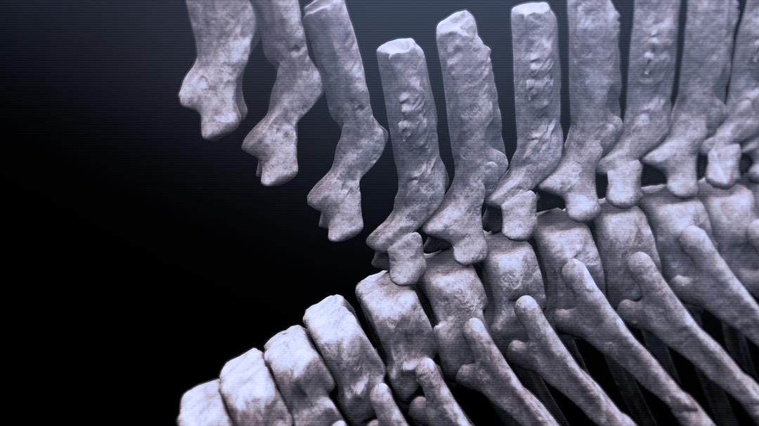 爱登堡爵士和海龙 Attenborough and the Sea Dragon