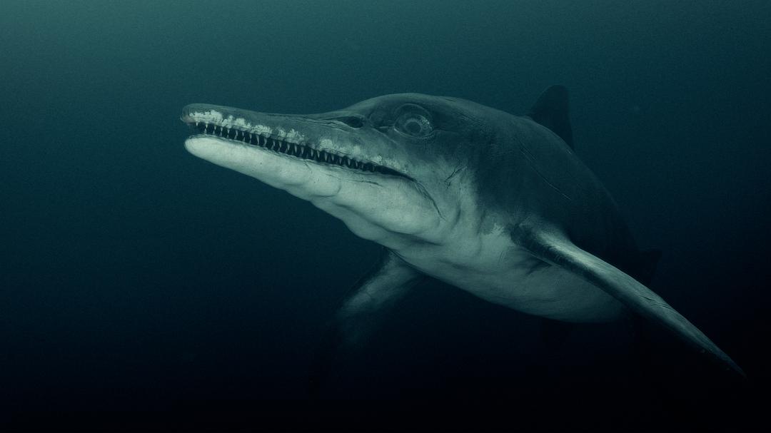 爱登堡爵士和海龙 Attenborough and the Sea Dragon