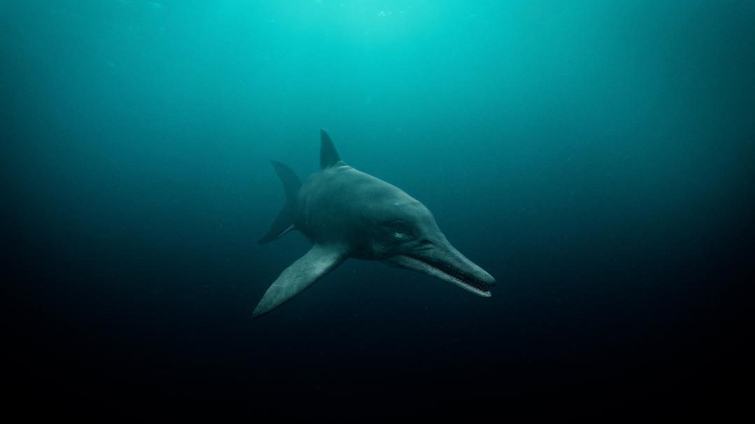 爱登堡爵士和海龙 Attenborough and the Sea Dragon