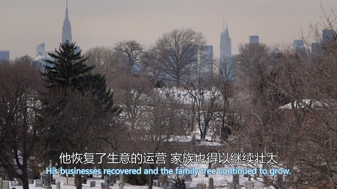 认识特朗普家族：从移民到总统 Meet the Trumps: From Immigrant to President