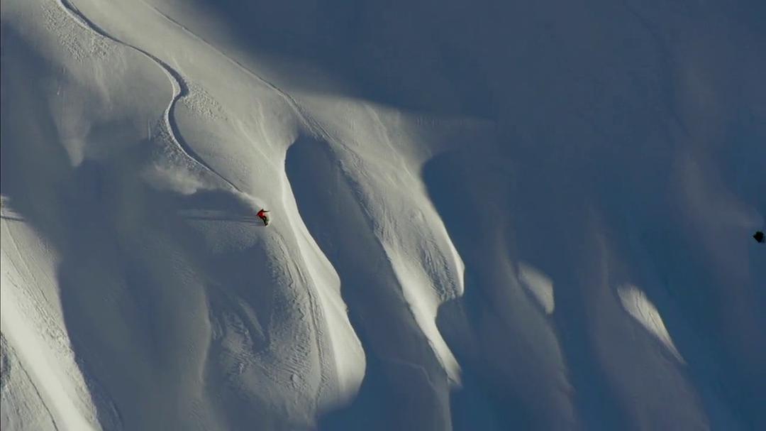 追寻自由 The Search for Freedom