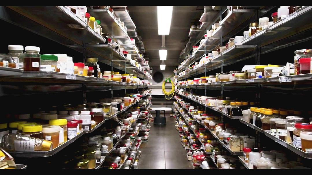 腐烂 第一季 Rotten Season 1