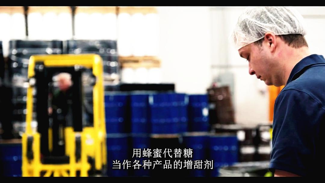 腐烂 第一季 Rotten Season 1