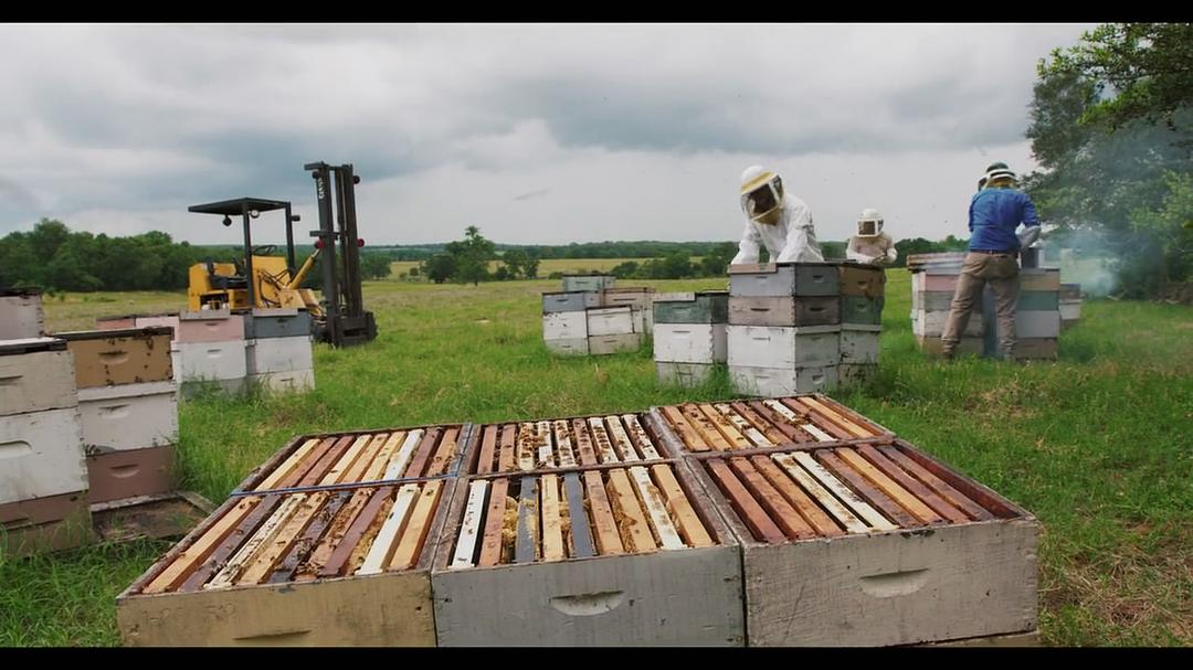 腐烂 第一季 Rotten Season 1