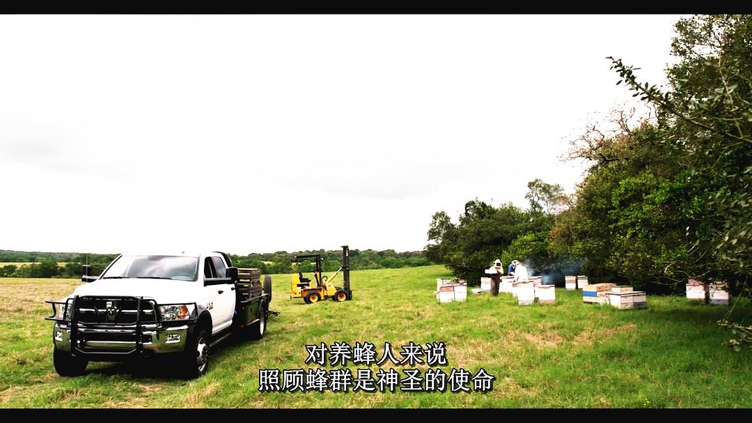 腐烂 第一季 Rotten Season 1