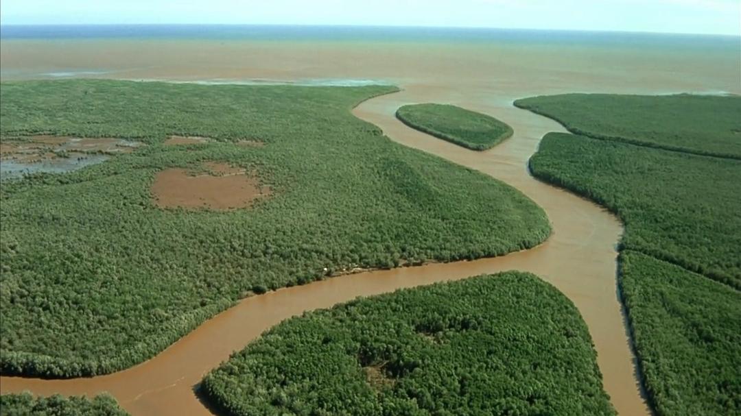 小宇宙2：基因狂想曲 Genesis