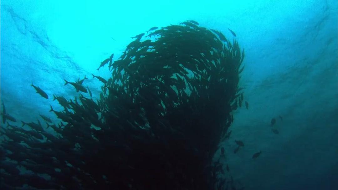 小宇宙2：基因狂想曲 Genesis