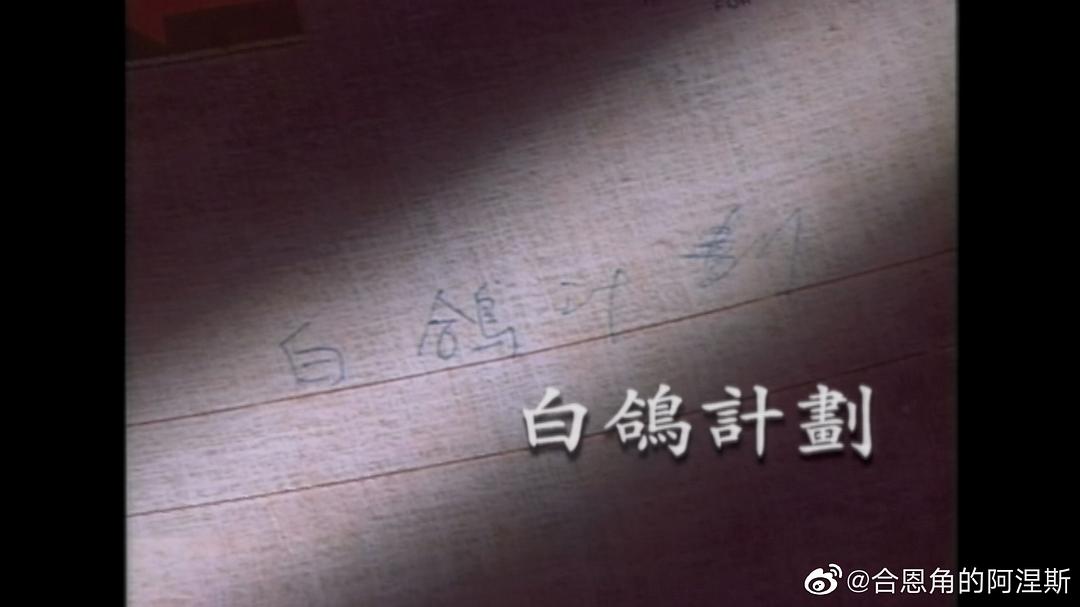 白鸽计划 白鴿計劃