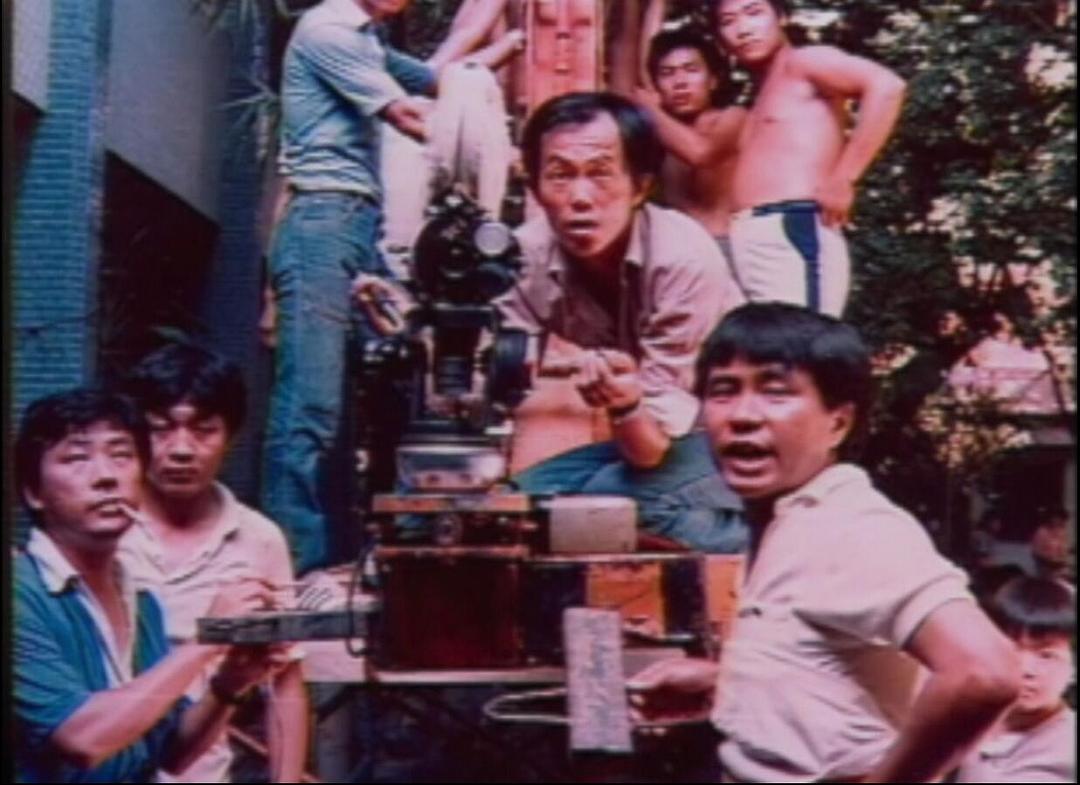 白鸽计划 白鴿計劃