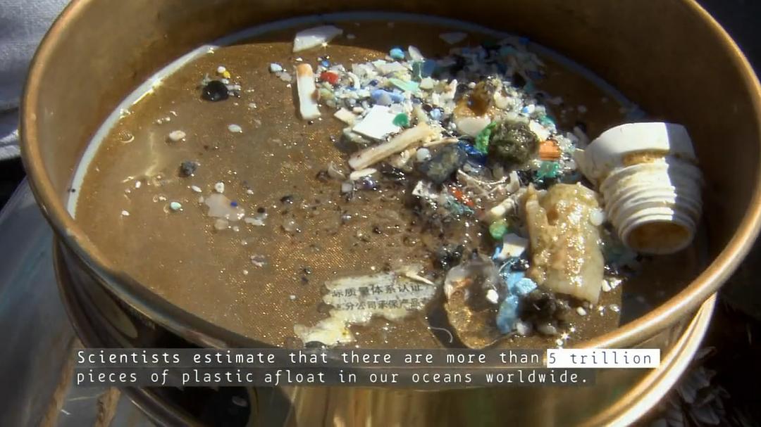 塑料海洋 A Plastic Ocean