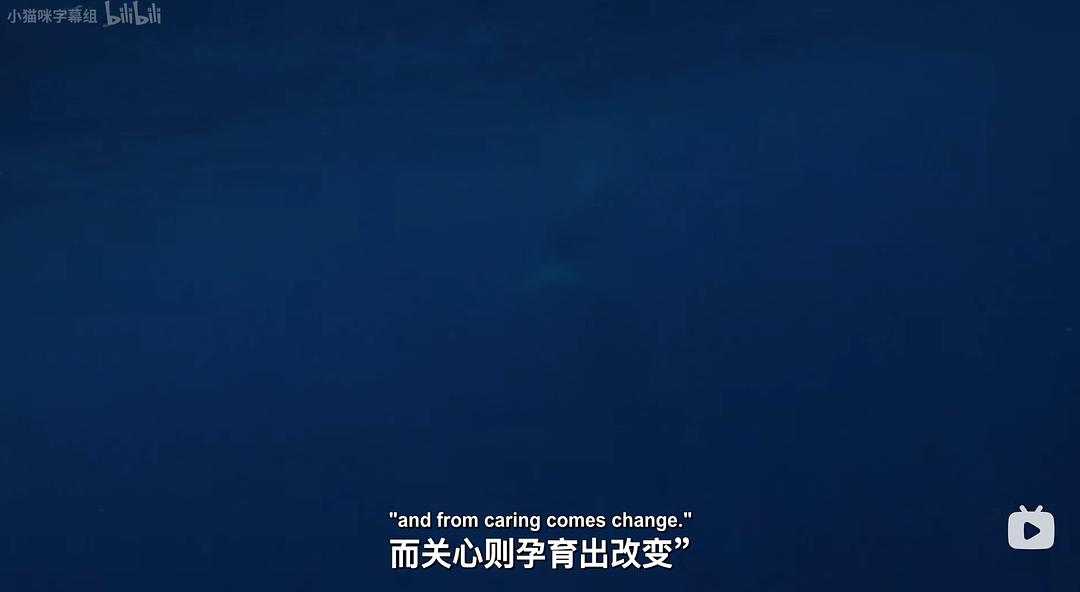 塑料海洋 A Plastic Ocean