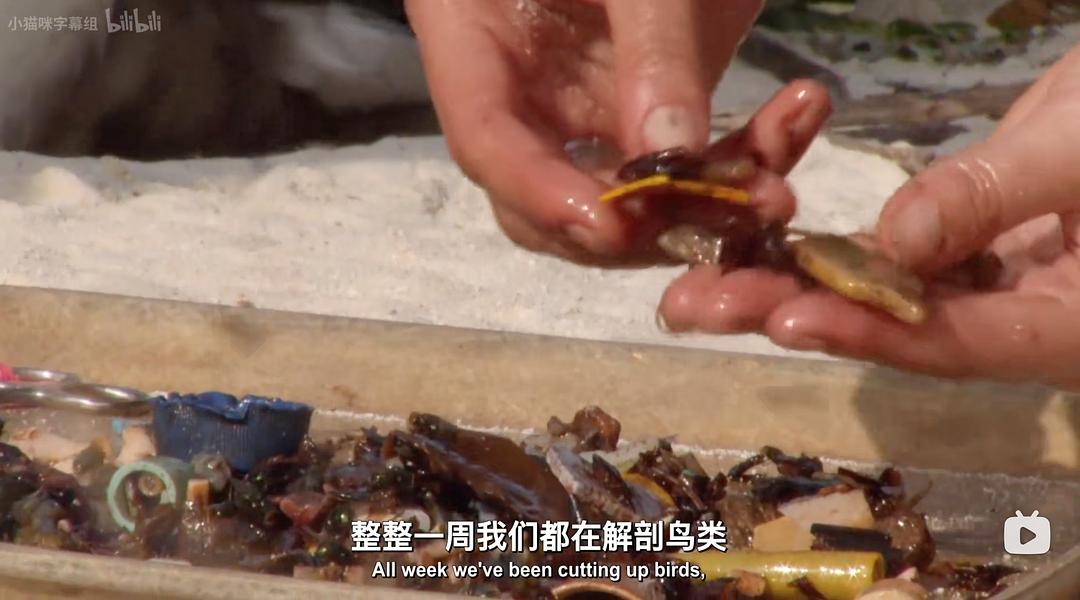 塑料海洋 A Plastic Ocean