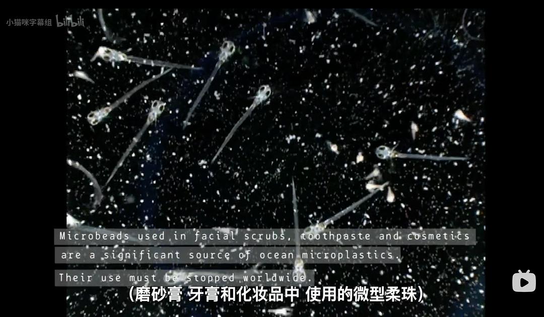 塑料海洋 A Plastic Ocean