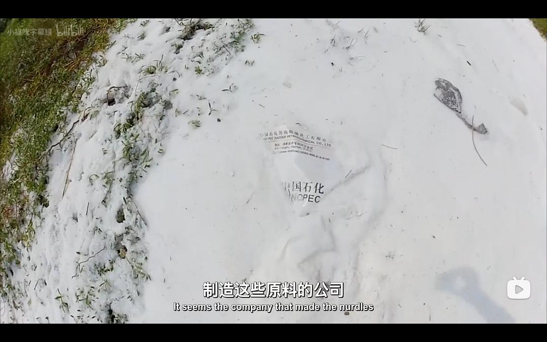 塑料海洋 A Plastic Ocean