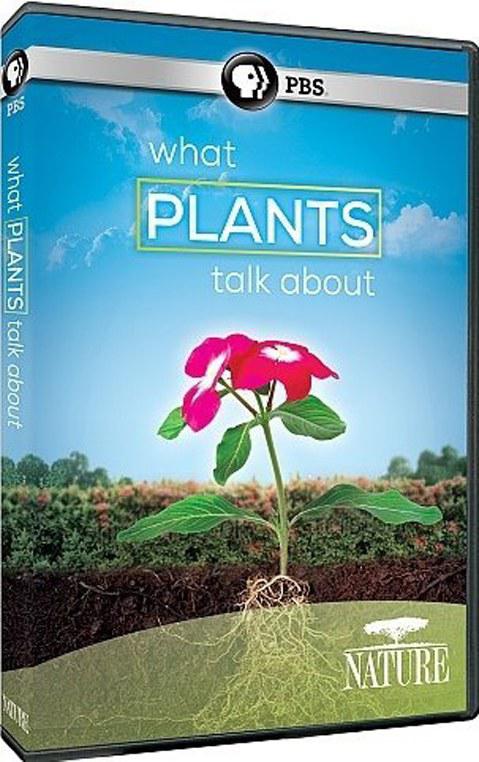 自然：植物间的对话 Nature: What Plants Talk About