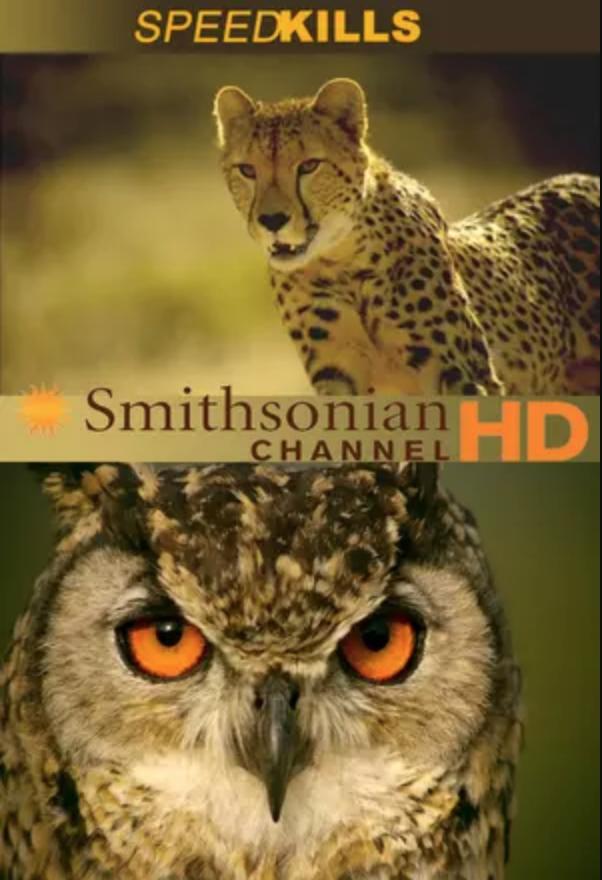 极速猎杀 Speed Kills