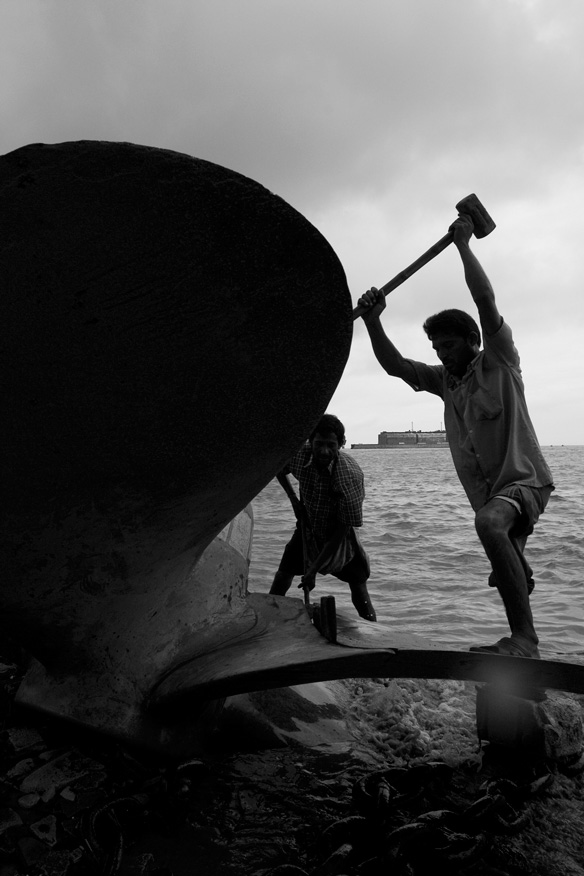 铁乌鸦 Iron Crows