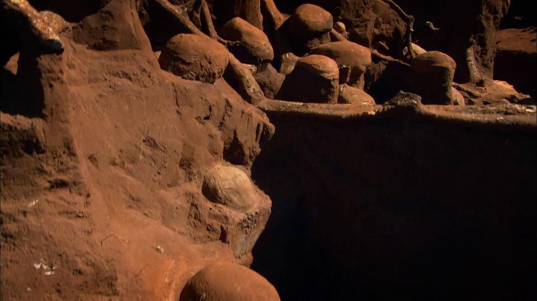 自然世界：动物之家 The Natural World: Animal House