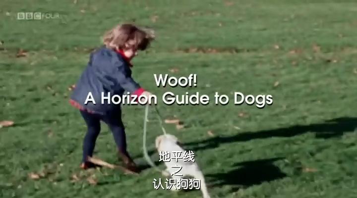 认识狗狗 Woof! A Horizon Guide to Dogs