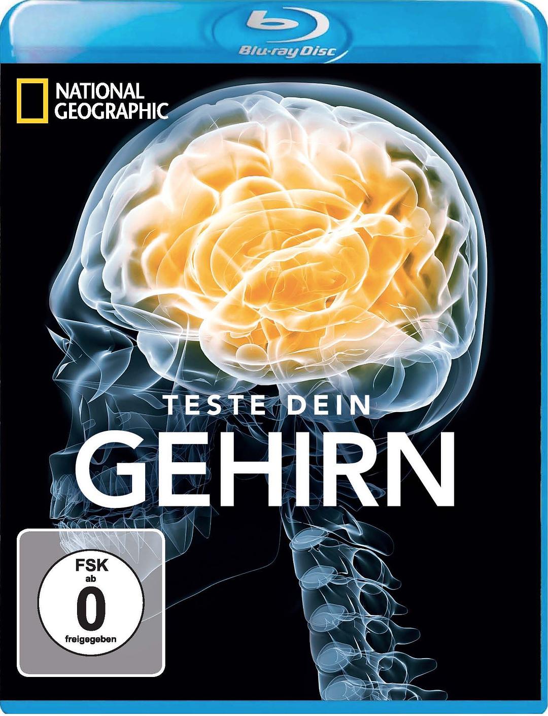 脑力大挑战 Test Your Brain