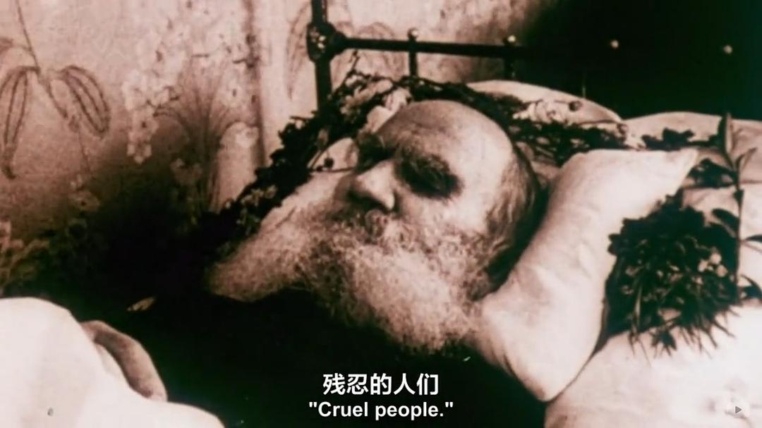 托尔斯泰的烦恼 The Trouble with Tolstoy