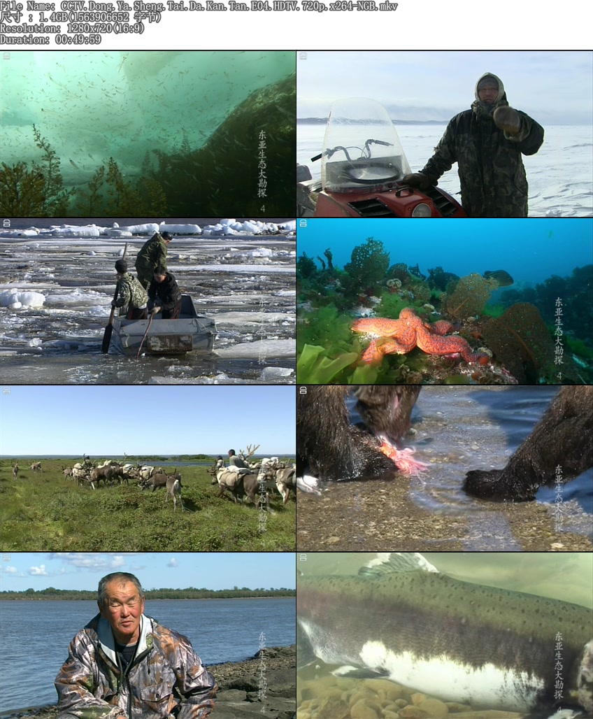 东亚生态大勘探：阿穆尔河 동아시아 생명대탐사 아무르