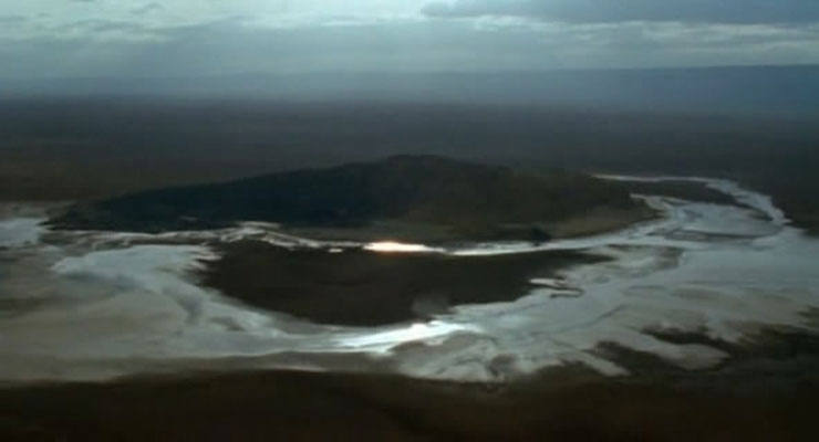 野性非洲 Wild Africa