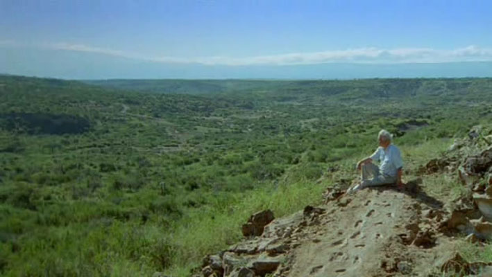 哺乳类全传 The Life of Mammals