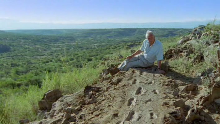 哺乳类全传 The Life of Mammals