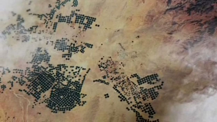 哺乳类全传 The Life of Mammals