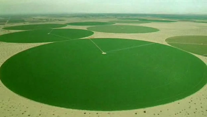 哺乳类全传 The Life of Mammals