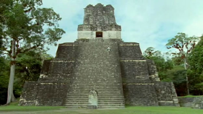 哺乳类全传 The Life of Mammals