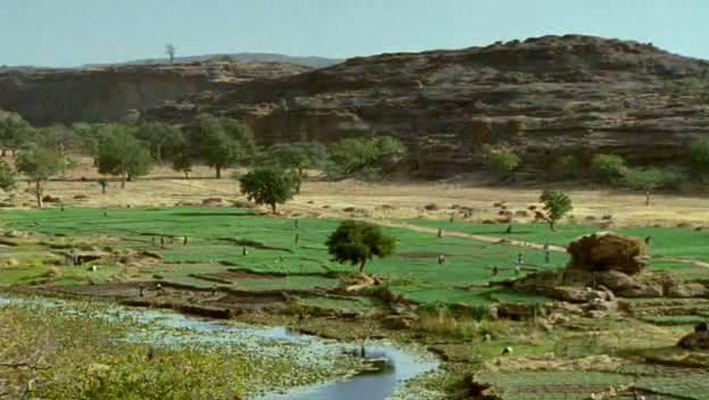 哺乳类全传 The Life of Mammals