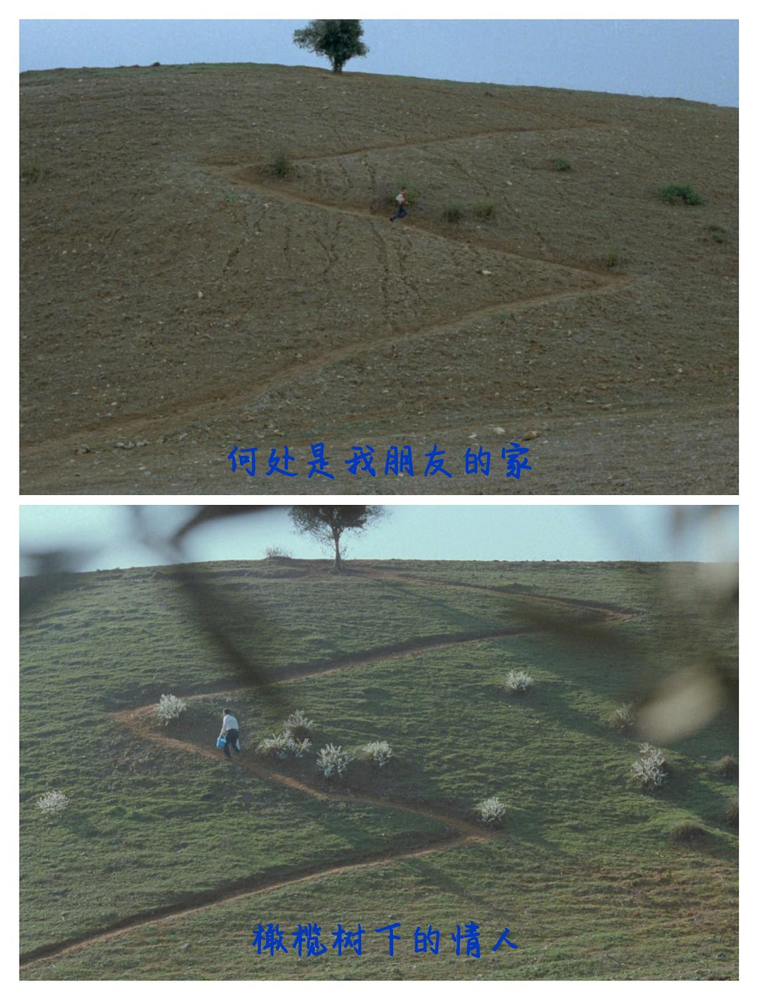 阿巴斯·基亚罗斯塔米的道路 Roads of Kiarostami