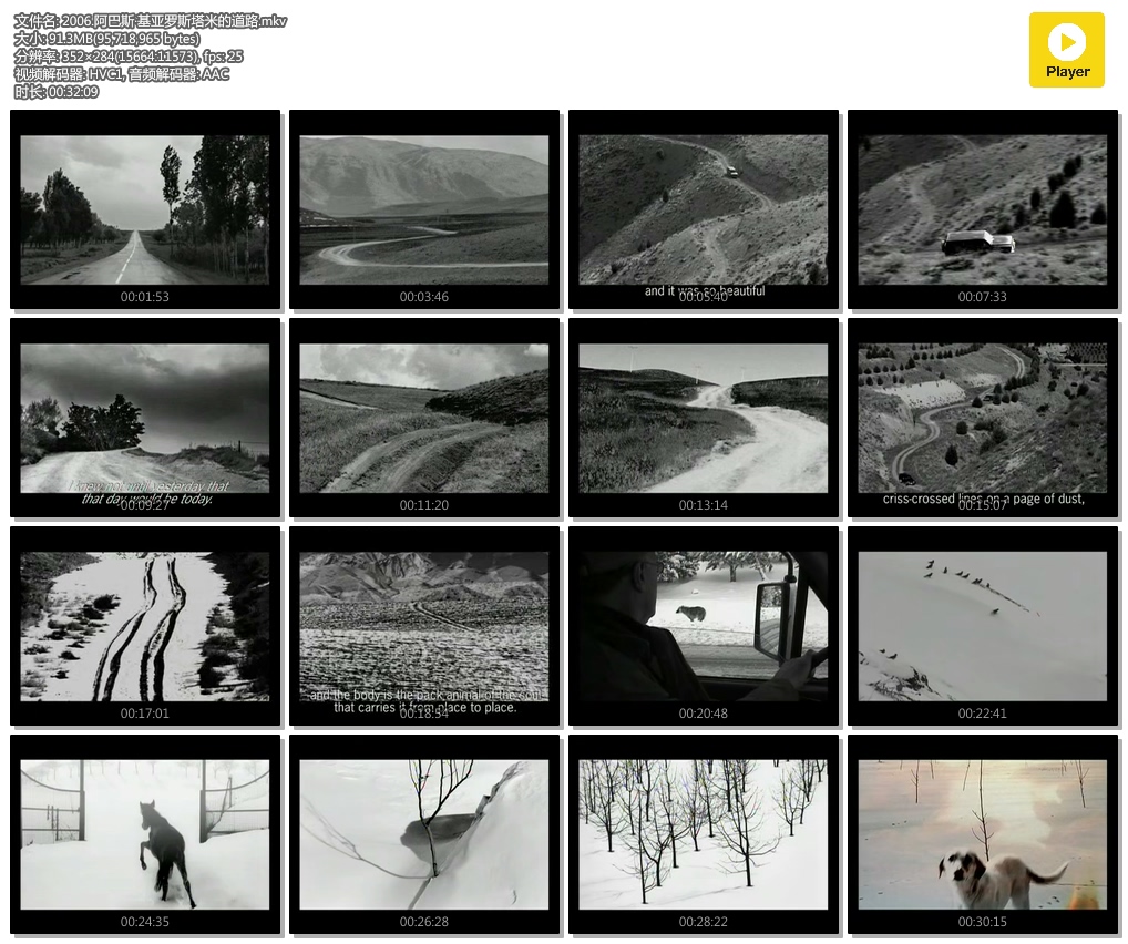 阿巴斯·基亚罗斯塔米的道路 Roads of Kiarostami