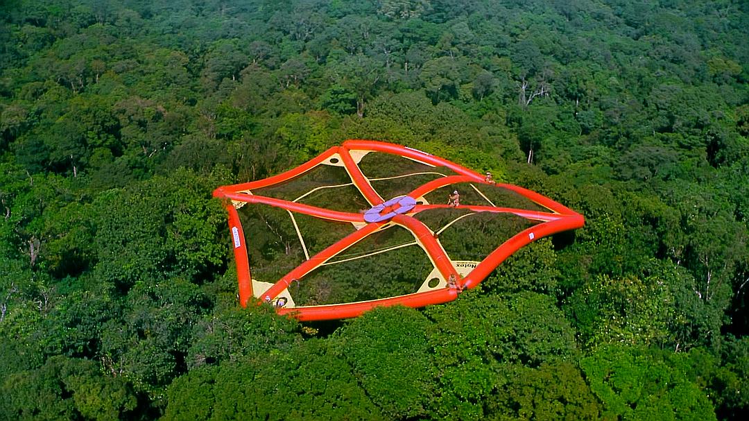 热带雨林 Tropical Rainforest