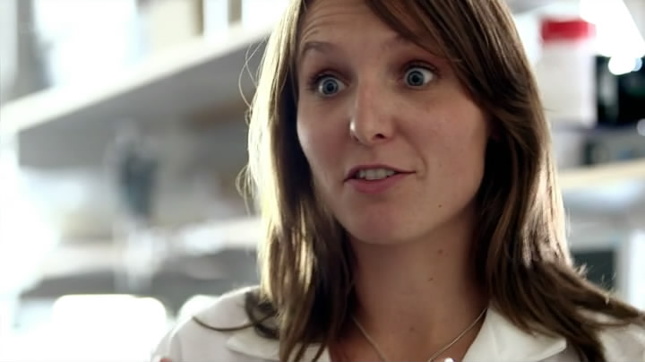 人体奥妙之细胞的暗战 Our Secret Universe: The Hidden Life of the Cell