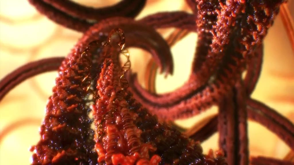 人体奥妙之细胞的暗战 Our Secret Universe: The Hidden Life of the Cell