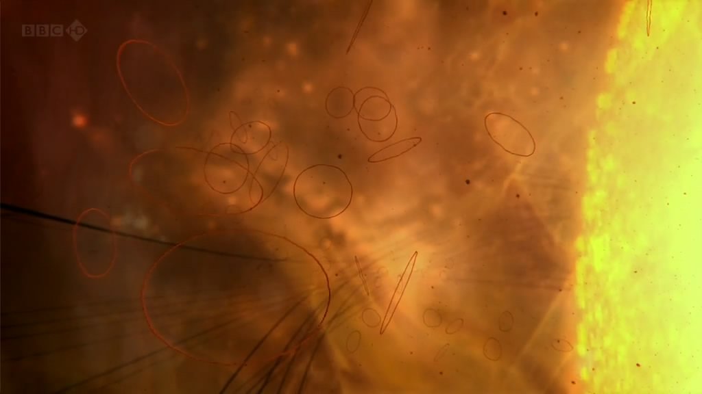 人体奥妙之细胞的暗战 Our Secret Universe: The Hidden Life of the Cell