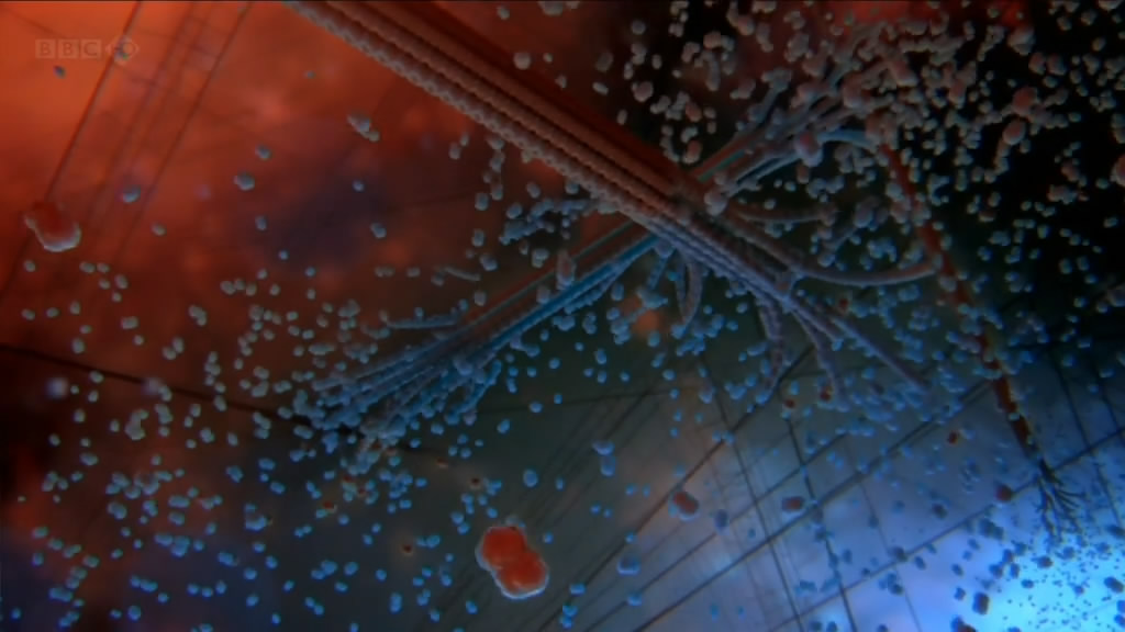 人体奥妙之细胞的暗战 Our Secret Universe: The Hidden Life of the Cell