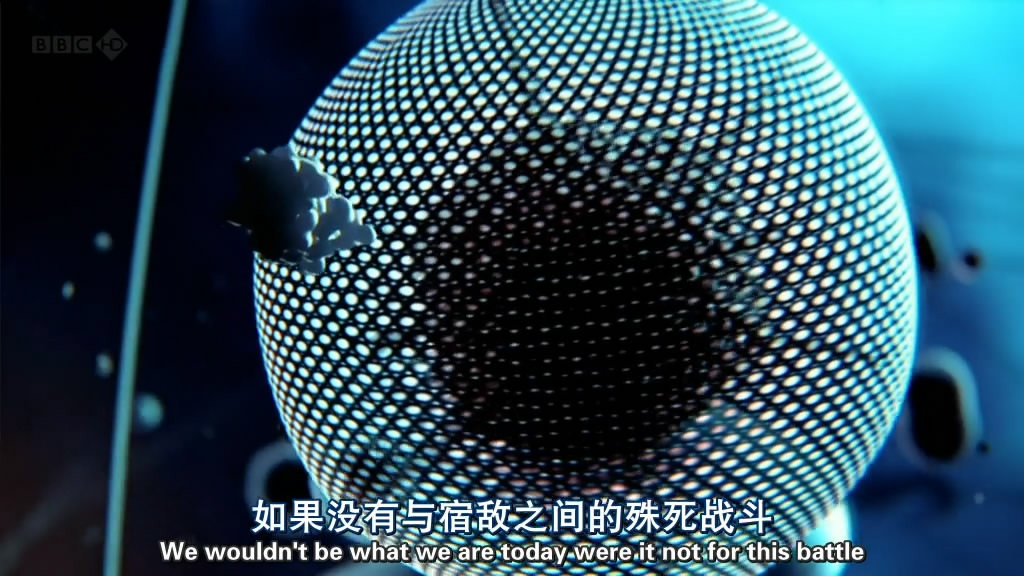 人体奥妙之细胞的暗战 Our Secret Universe: The Hidden Life of the Cell