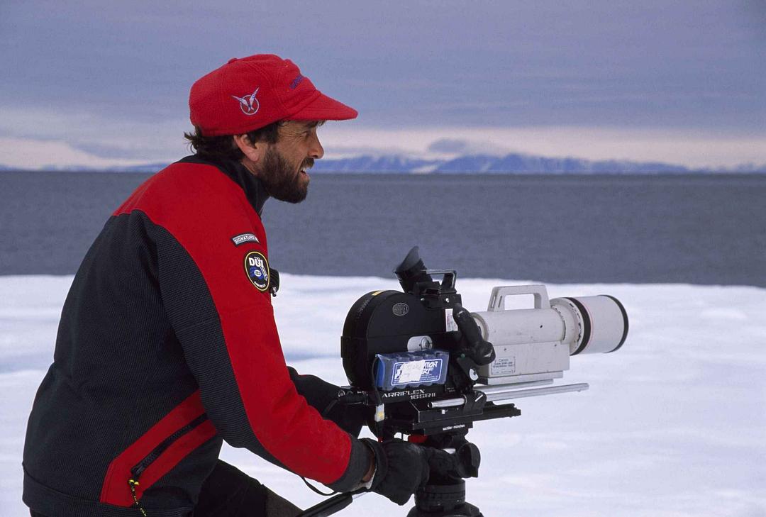 北极故事 Arctic Tale