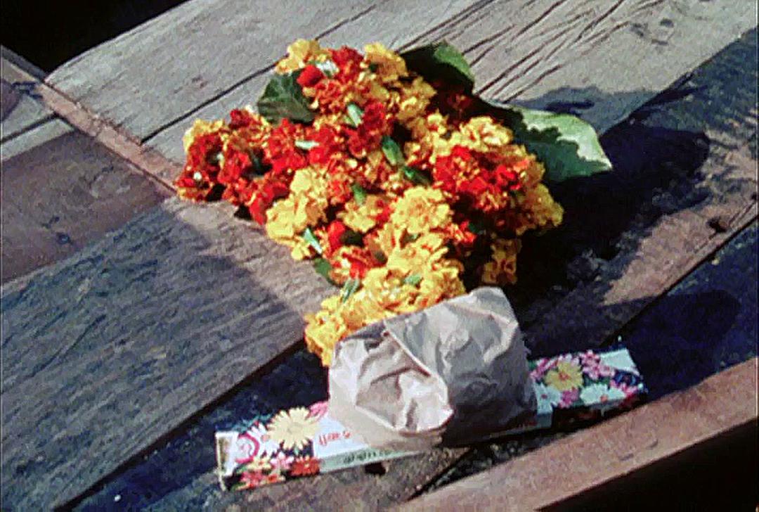 极乐森林 Forest of Bliss